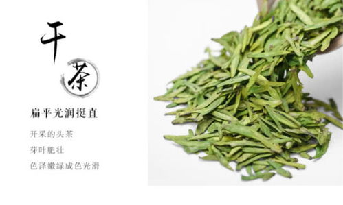 怎么鑒別明前西湖龍井