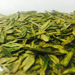 新茶到 西湖龍井