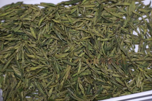 茶知識 一篇扎實的綠茶品種花類入門科普,建議收藏