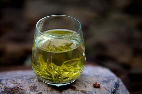 炒青一絕,原汁原味丨明代以來,西湖龍井為何崛起成為名茶