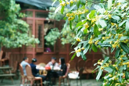入選國家級名單 杭州這條旅游精品線路帶你探尋金秋美景