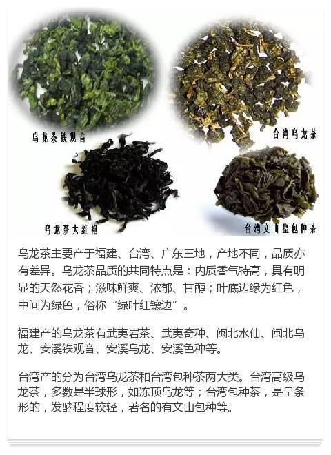 周末學堂 十條關于茶葉的小知識