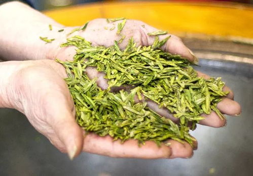 對不起,我們遲到了