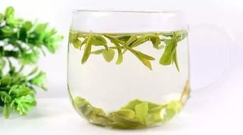 中國(guó)十大茶葉區(qū)域公用品牌評(píng)選結(jié)果出爐,西湖龍井上榜,浙江名茶還有多少