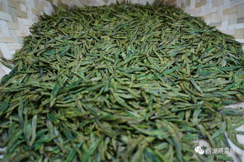 炒茶拼手藝,茶藝憑美感,2017年杭州市西湖龍井茶技藝大賽開賽嘍