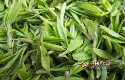 今年西湖龍井茶品質比往年更好