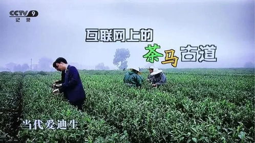 農創客進高校 藝福堂茶業李曉軍 做互聯網 茶馬古道 的探路者
