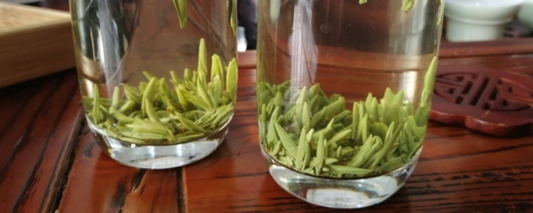 龍井茶怎么看級別
